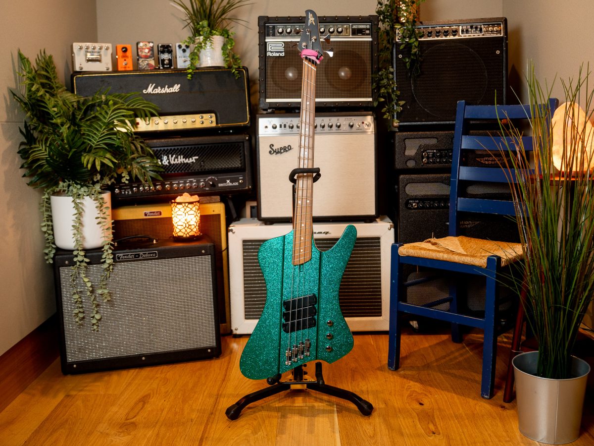 Dingwall D-Roc Standard